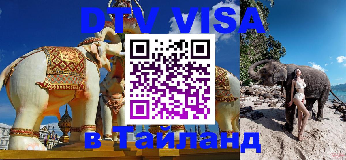 Сколько стоит DTV виза — актуальные цены, оформление даже без документов - Бийск 